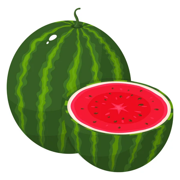 Fresh Whole Half Watermelon Fruit Isolated White Background Summer Fruits — Stock Vector