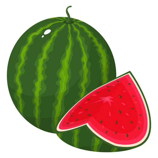 新鲜的 整片切碎的西瓜水果 在白色的背景上被分离出来 夏天水果促进健康的生活方式 有机水果 卡通风格 任何设计的矢量说明 — 图库矢量图片