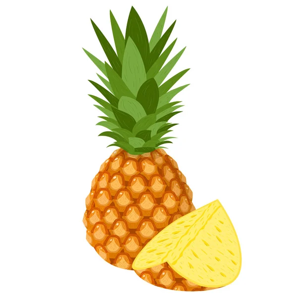 Fruto Fresco Entero Medio Piña Aislado Sobre Fondo Blanco Frutas — Vector de stock