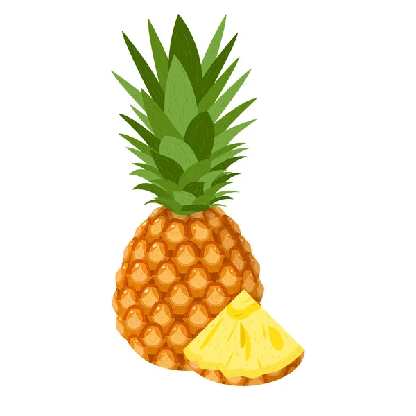 新鲜的 完整的 切碎的菠萝片 在白色的背景上被分离出来 夏天水果促进健康的生活方式 有机水果 卡通风格 任何设计的矢量说明 — 图库矢量图片