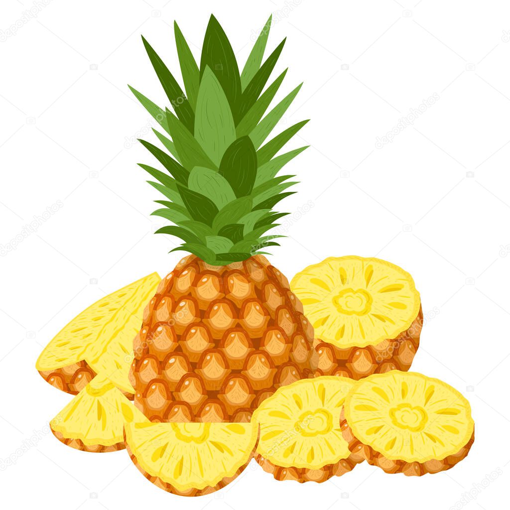 Fresh whole, half and cut slices pineapple fruit isolated on white background. Summer fruits for healthy lifestyle. Organic fruit. Cartoon style. Vector illustration for any design.