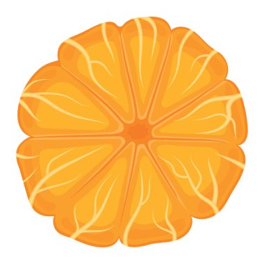 Beyaz arka planda soyulmuş egzotik mandalina veya mandalinadan taze parlak bir manzara. Sağlıklı yaşam için yaz meyveleri. Organik meyve. Çizgi film tarzı. Herhangi bir tasarım için vektör illüstrasyonu.