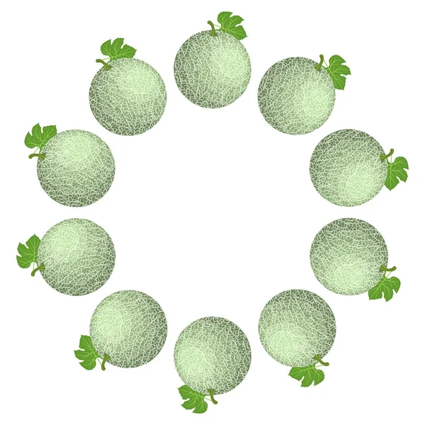 Kranz Aus Grüner Cantaloupe Melone Mit Platz Für Text Cartoon — Stockvektor