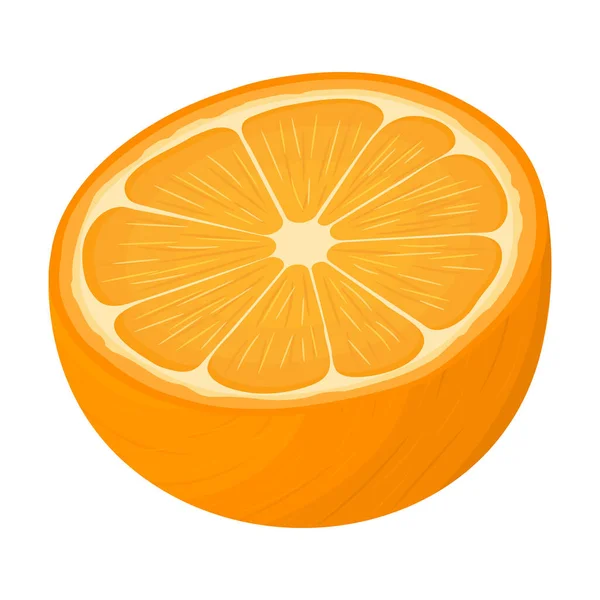 Fresh Bright Exotic Half Tangerine Mandarin Isolated White Background Summer — Stock Vector