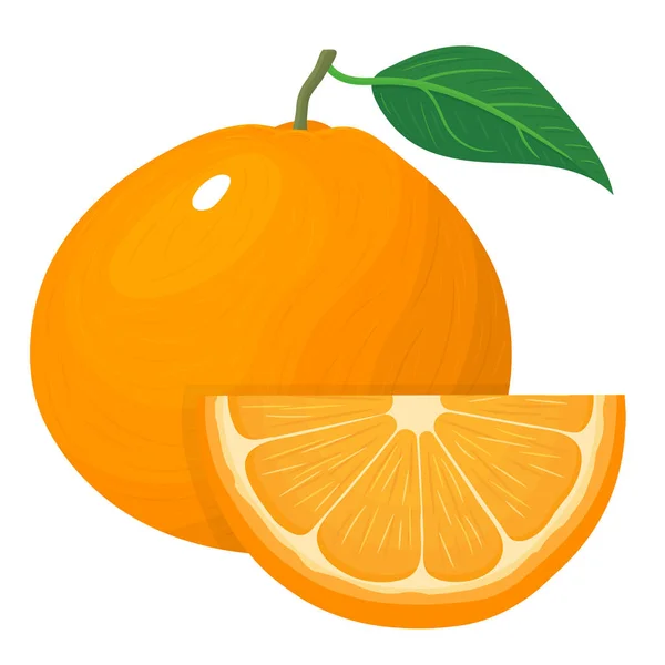 新鲜鲜亮的异国情调的整体和切片橘子或甘露醇分离的白色背景 夏天水果促进健康的生活方式 有机水果 任何设计的矢量说明 — 图库矢量图片