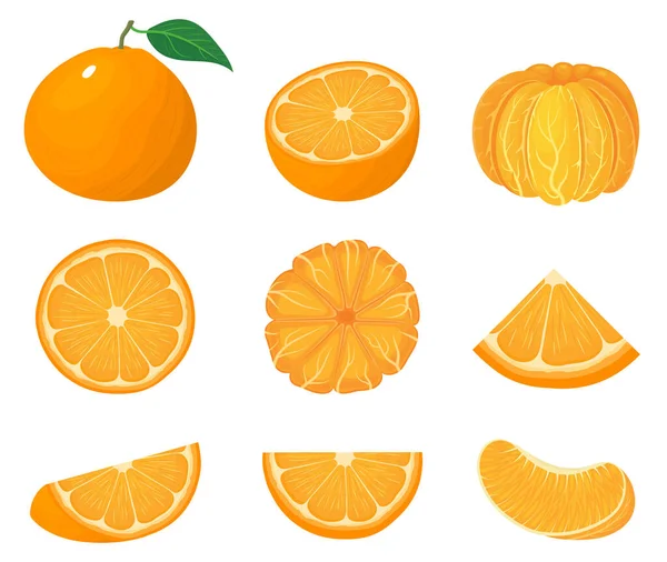 Sæt Friske Hele Halve Skåret Skive Mandarin Eller Mandarin Frugter – Stock-vektor