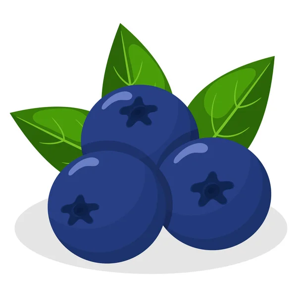鲜亮的异国情调蓝莓 背景为白色 夏天水果促进健康的生活方式 有机水果 卡通风格 任何设计的矢量说明 图库插图