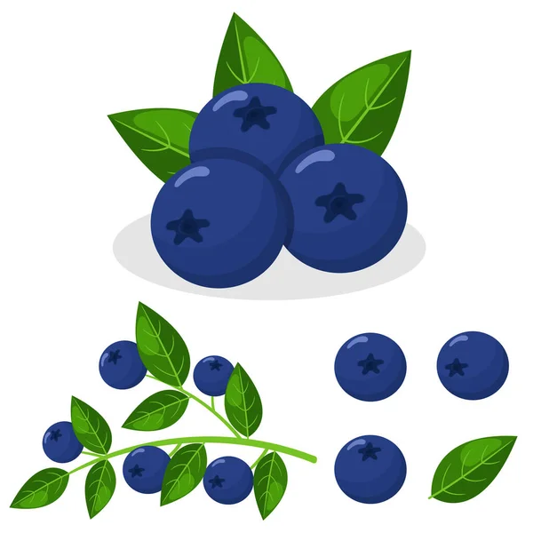 一组鲜亮的奇异蓝莓 背景为白色 夏天水果促进健康的生活方式 有机水果 卡通风格 任何设计的矢量说明 免版税图库插图