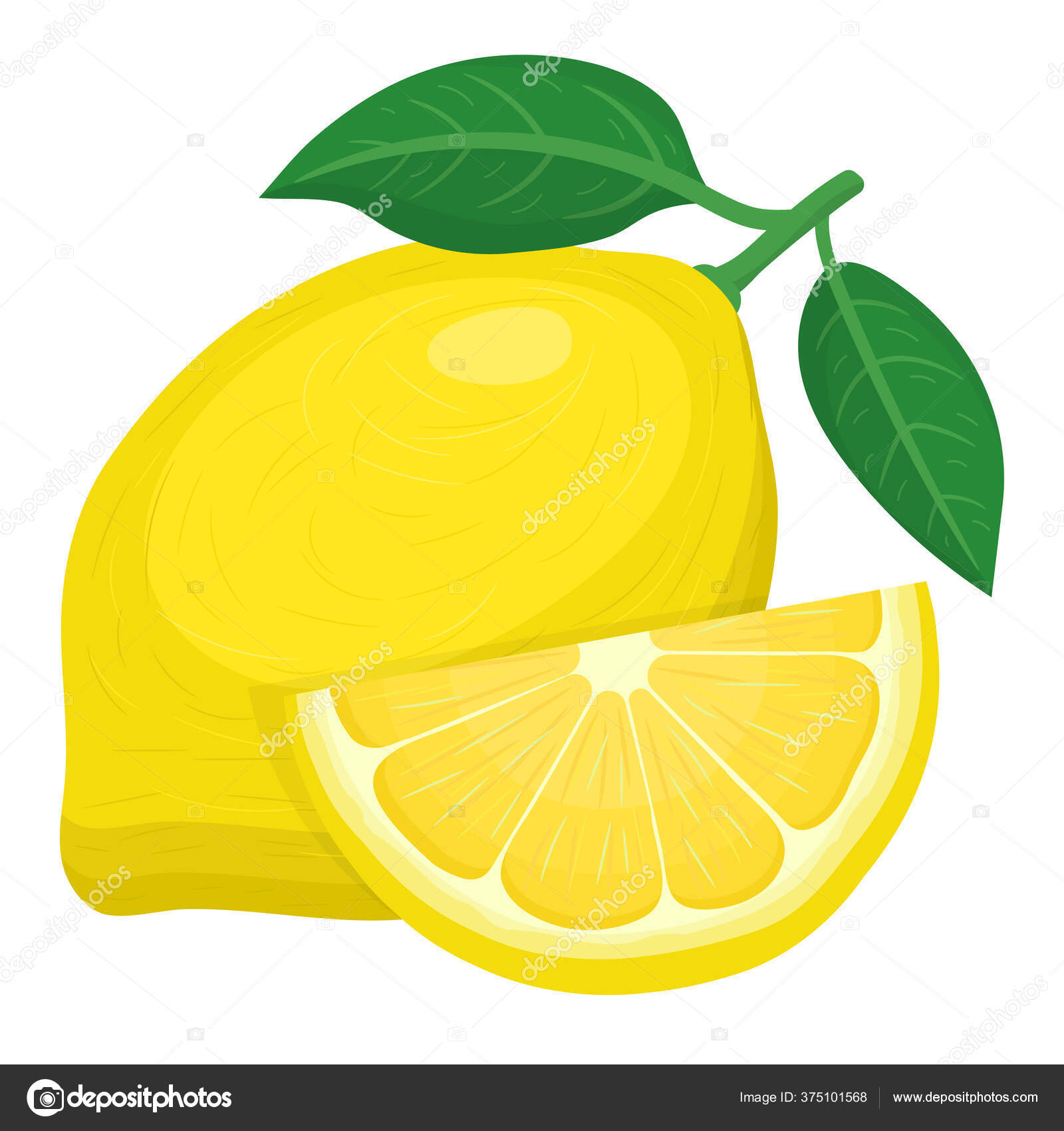 Fresh Bright Exotic Whole Cut Slice Lemon Fruit Isolated White Stock Vector  by ©Alody 375101568, image size:1600x1700