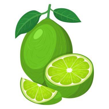 Taze, parlak egzotik bir bütün, yarısı ve beyaz arka planda izole edilmiş dilimlenmiş limon meyvesi. Sağlıklı yaşam için yaz meyveleri. Organik meyve. Çizgi film tarzı. Herhangi bir tasarım için vektör illüstrasyonu.