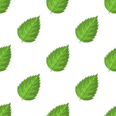 Dekoratif yeşil ahududu yapraklı kusursuz desen beyaz arka planda. Herhangi bir tasarım için vektör illüstrasyonu.