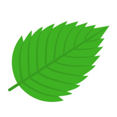 Beyaz arka planda yalıtılmış çilek yeşili yaprak. Düz stil. Herhangi bir tasarım için vektör illüstrasyonu.