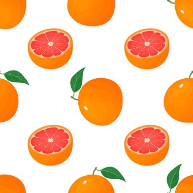 Tertemiz, parlak egzotik deseni ve beyaz arka planda izole edilmiş yarım greyfurt. Sağlıklı yaşam için yaz meyveleri. Organik meyve. Çizgi film tarzı. Herhangi bir tasarım için vektör illüstrasyonu.