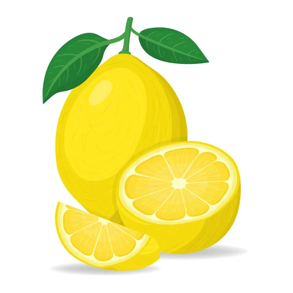 新鮮な明るいエキゾチックな全体 半分と白の背景に隔離されたスライスレモン果実 健康的なライフスタイルのための夏の果物 有機果実 漫画風 任意のデザインのベクトルイラスト — ストックベクタ