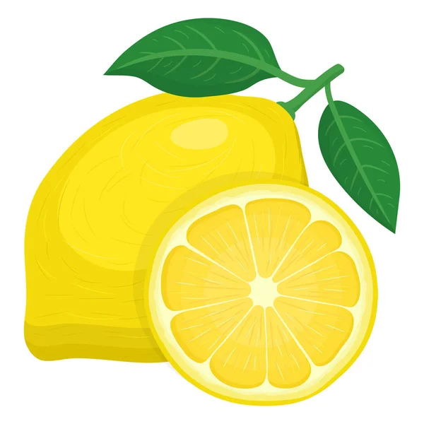 Fruit Exotique Frais Entier Demi Citron Isolé Sur Fond Blanc — Image vectorielle