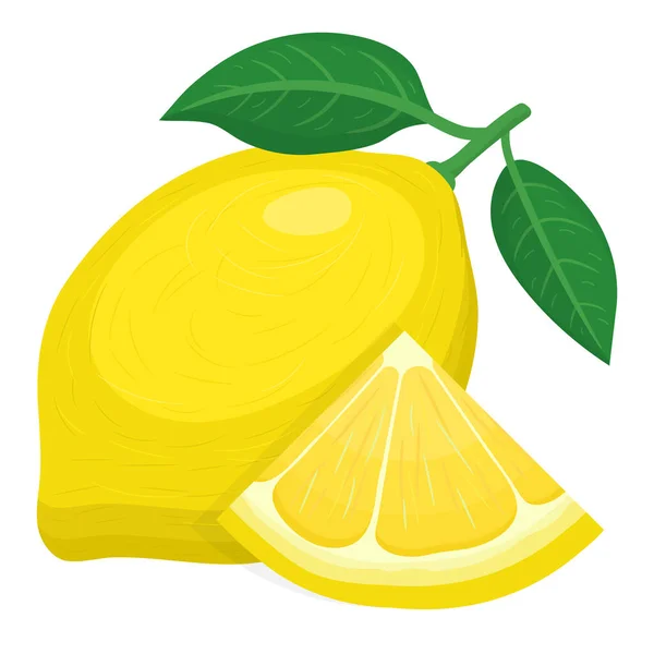 Fresco Esotico Brillante Intero Tagliare Fetta Limone Frutta Isolata Sfondo — Vettoriale Stock
