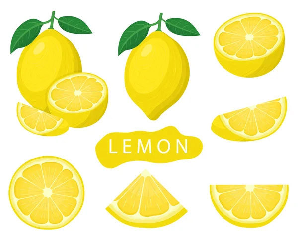 Conjunto Frutas Frescas Inteiras Metade Cortadas Limão Isolado Fundo Branco — Vetor de Stock