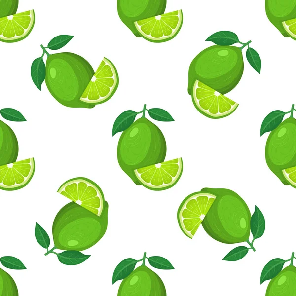 Seamless Pattern Fresh Bright Exotic Whole Cut Slice Lime Fruit — Stock Vector