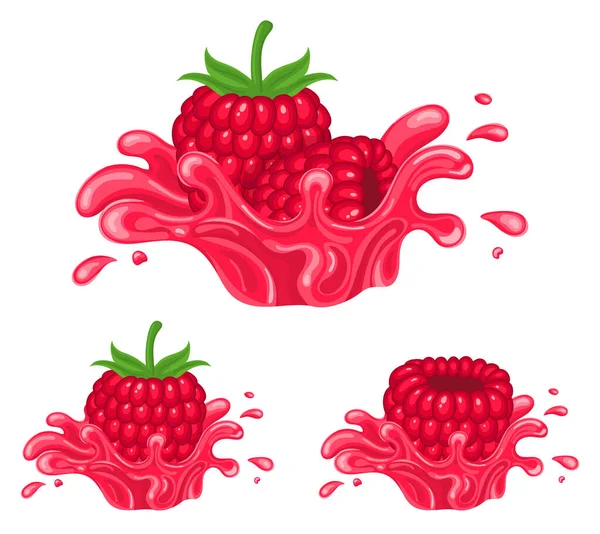 Set Fresh Bright Raspberry Juice Splash Burst Isolated White Background — Stock Vector