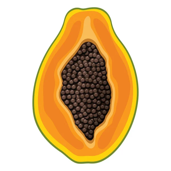 Frische Helle Exotische Halbe Papayafrucht Isoliert Auf Weißem Hintergrund Sommerfrüchte — Stockvektor