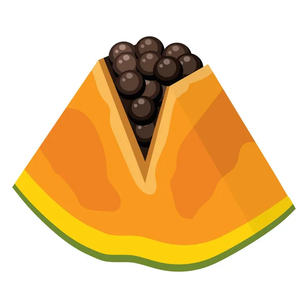 Fraîche Coupe Exotique Éclatante Fruits Papaye Isolé Sur Fond Blanc — Image vectorielle