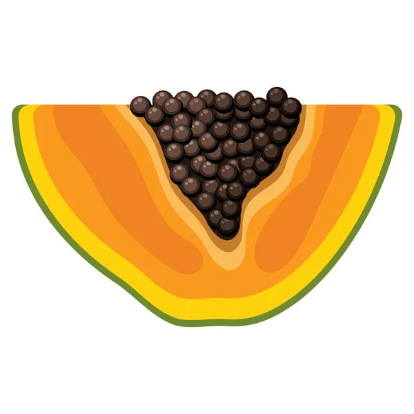 Verse Heldere Exotische Gesneden Plak Papaya Fruit Geïsoleerd Witte Achtergrond — Stockvector