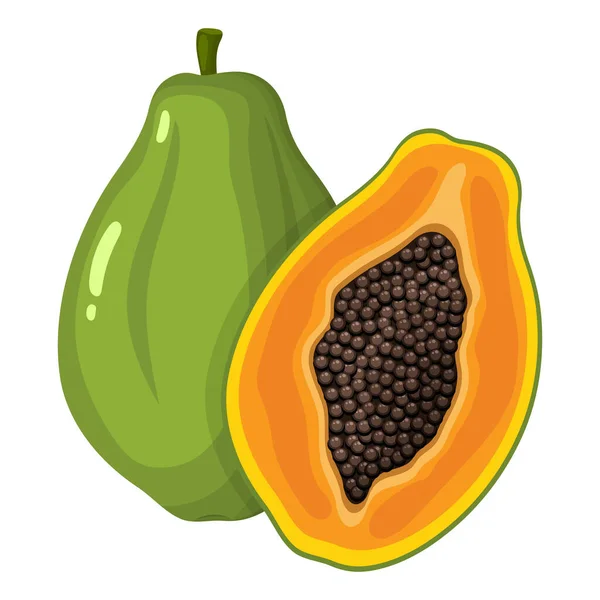 Fresca Fruta Exótica Brillante Entera Media Papaya Aislada Sobre Fondo — Archivo Imágenes Vectoriales