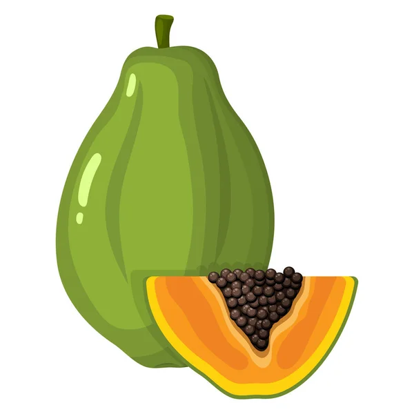 Frische Helle Exotische Ganze Und Scheiben Geschnittene Papayafrüchte Isoliert Auf — Stockvektor