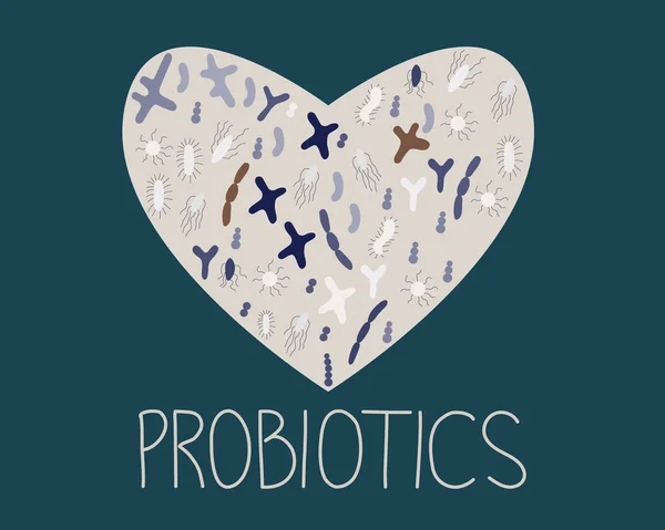Forma de corazón con probióticos para un buen concepto de microorganismos . — Vector de stock