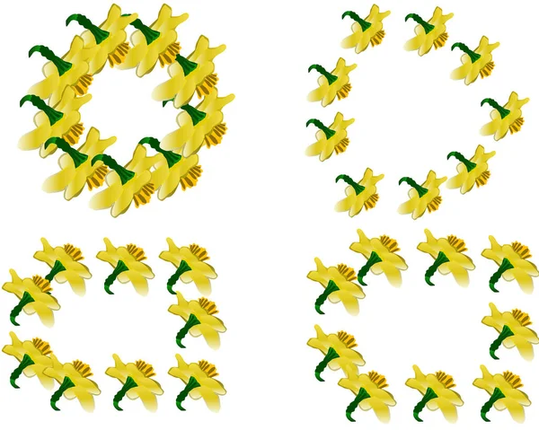 Çiçek Motifli Pankart Beyaz Arkaplanda Nergislerle Izole Edilmiş Bahar Çerçeveleri — Stok Vektör