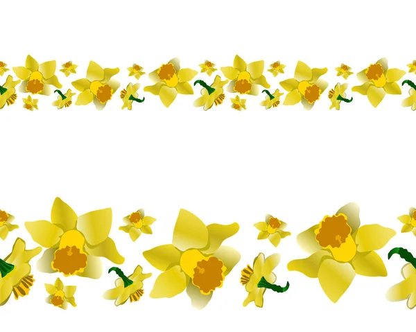 Lente Gele Narcissen Eindeloze Spandoek Bloemenmotief Herhalen Rand Geïsoleerd Witte — Stockvector