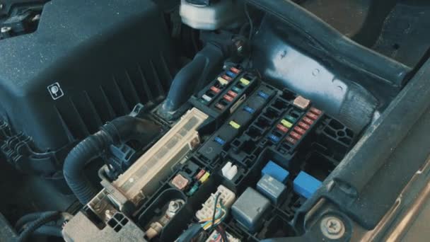 Inspectie van de zekeringkast in de auto. Veel verschillende elektrische auto bewakers. — Stockvideo