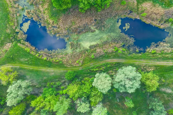 森の中の沼に青い水の2つの美しい湖。ドローンからの写真. — ストック写真