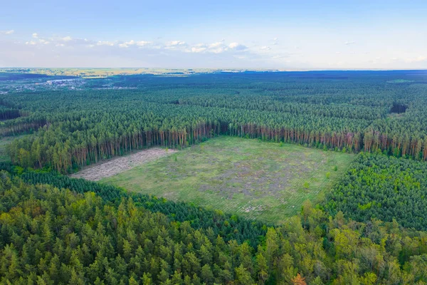 Deforestation of green Amazonian forests. Human impact on the environment. Destruction of forest resources. — Stock Photo, Image