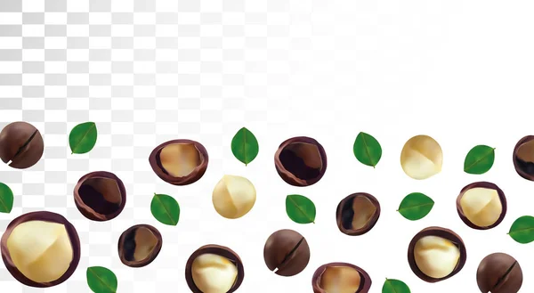 3D realistic macadamia nut isolated on transparent background. Shelled and unshelled Macadamia nuts with green leaf. Organic macadamia. Beautiful illustration — Stock Photo, Image