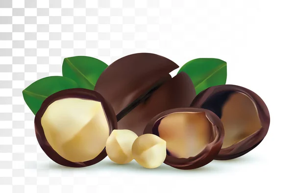 3d realistický makadamový ořech izolovaný na průhledném pozadí. Loupané a neloupané makadamské oříšky se zeleným listem. Organická makadamie. Vektorová ilustrace — Stockový vektor