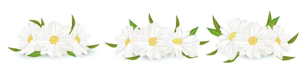 3D realistyczny rumianek izolowany na białym tle. Delikatny kwiat rumianku. Świeża paczka rumianku. Ilustracja wektora. — Wektor stockowy