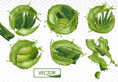 Şeffaf arkaplanda 3 boyutlu gerçekçi taze aloe vera. Su sıçramış yeşil aloe vera koleksiyonu. Aloe 'yi dilimle. Cilt bakımı ve saç için bitkisel ilaç. Aloe vera a a cactus yakın plan. EPS 10