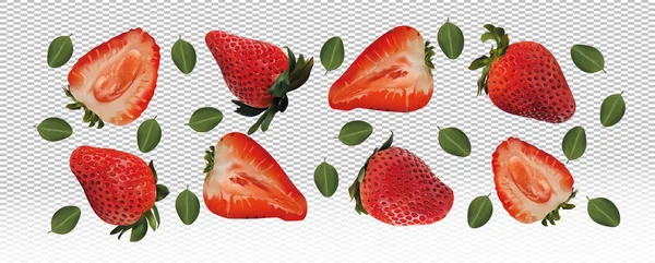 透明な背景に葉を持つイチゴのセット。イチゴの果物は全部で半分にカットされています。ビタミン、天然物が豊富な有用な熟した新鮮なイチゴ。現実的なベクトル図. — ストックベクタ