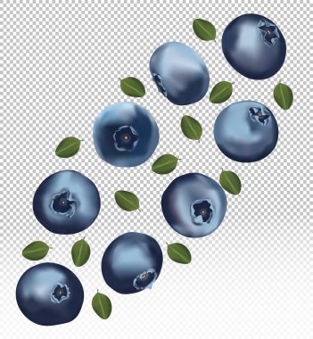 Şeffaf arka planda yaprakları olan yabanmersini seti. Taze yaban mersini meyveleri bir bütün. Vitamin zengini, doğal ürün olarak kullanışlı olgun taze yaban mersini. Gerçekçi vektör illüstrasyonu