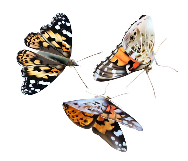 Monarch gelber Schmetterling auf transparentem Hintergrund. Fliegender Schmetterling. Symbolbild gesetzt. 3D-Illustration. — Stockfoto