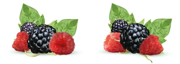Реалистичные Blackberry и малина изолированы на белом фоне. Установите свежую летнюю ягоду с зеленым листом. Черно-красная малина. 3d иллюстрация . — стоковое фото