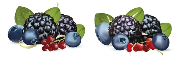 Realistiska bär, björnbär, röda vinbär och blåbär isolerade på vit bakgrund. Ställ in färska, sommarbär med gröna blad. 3D-illustration. — Stockfoto