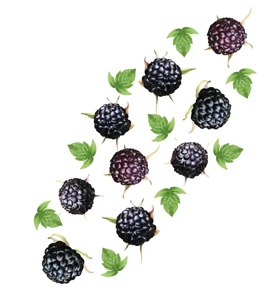 Set di lamponi neri con foglie su sfondo bianco. I frutti freschi di lampone nero sono interi. Mora fresca matura utile ricca di vitamine, prodotto naturale. Illustrazione realistica . — Foto Stock