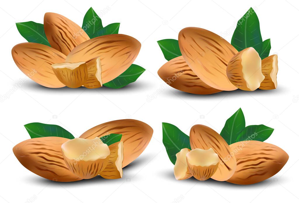 Almond nuts with leaves on white background. Almond close up. Icon set. 3d illustration