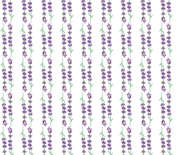 Бесшовный рисунок фиолетовой лаванды. Ароматная лаванда. Красивые фиолетовые цветы. Дизайн поверхности. Трехмерная реалистичная иллюстрация — стоковое фото