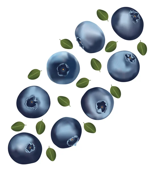 Set Blaubeeren mit Blättern auf weißem Hintergrund. Frische Heidelbeerfrüchte sind ganz. Nützliche reife frische Blaubeeren reich an Vitaminen, natürliches Produkt. Realistische 3D-Illustration — Stockfoto
