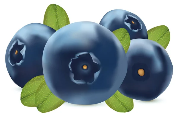익은 블루베리에 푸른 잎을 흰색 배경에 분리 해 놓는다. 몰래 열매를 따서 먹었지. 비타민 이 풍부 한 블루베리. 3D 현실적 인 삽화 — 스톡 사진