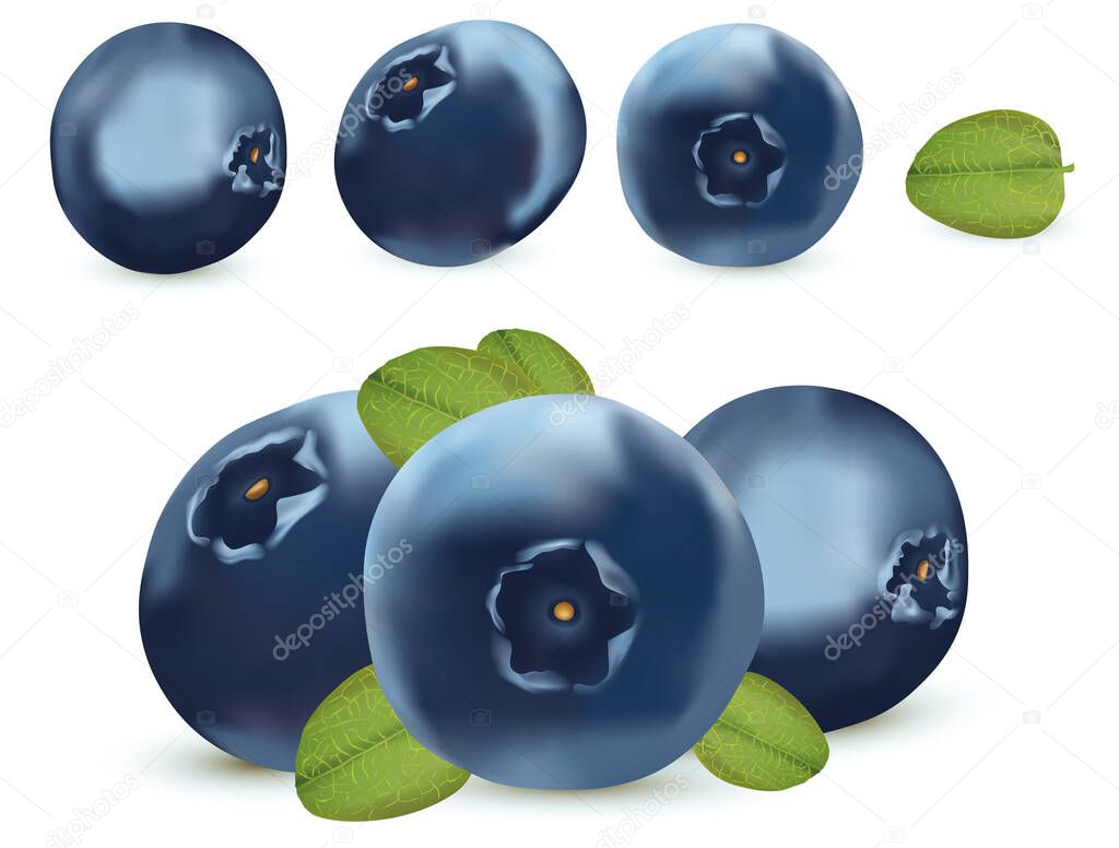 Useful ripe fresh blueberry on white background. Freshly picked blueberry with green leaf. Organic berry. Sweet blueberry berry close up.Icon set. 3D realistic illustration