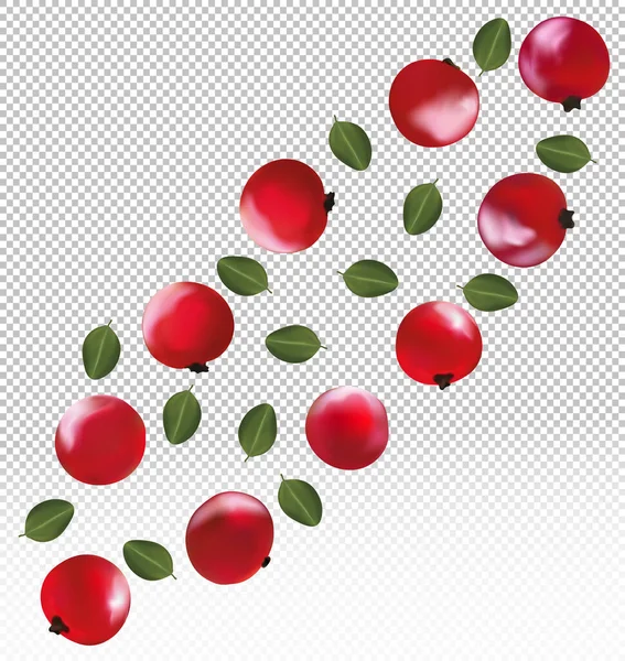 En uppsättning röda vinbär. Nyplockade röda vinbär med gröna blad. Användbara mogna färska röda vinbär rika på vitaminer. Ekologisk produkt. 3D realistisk vektor illustration — Stock vektor